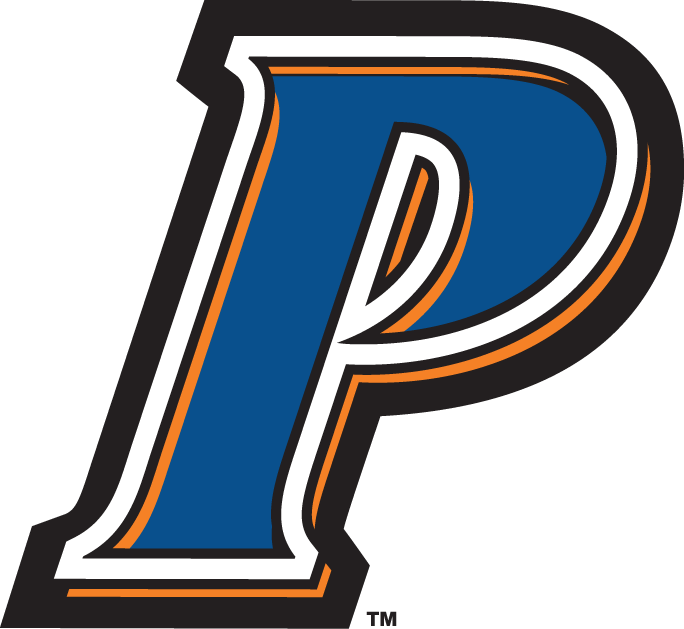 Pepperdine Waves 2004-2010 Alternate Logo diy iron on heat transfer